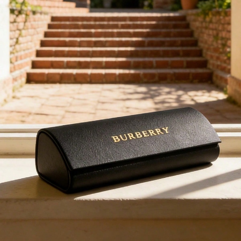 Luxury Bags Coach - BURBERRY Luxury Leather Glasses Case Hard